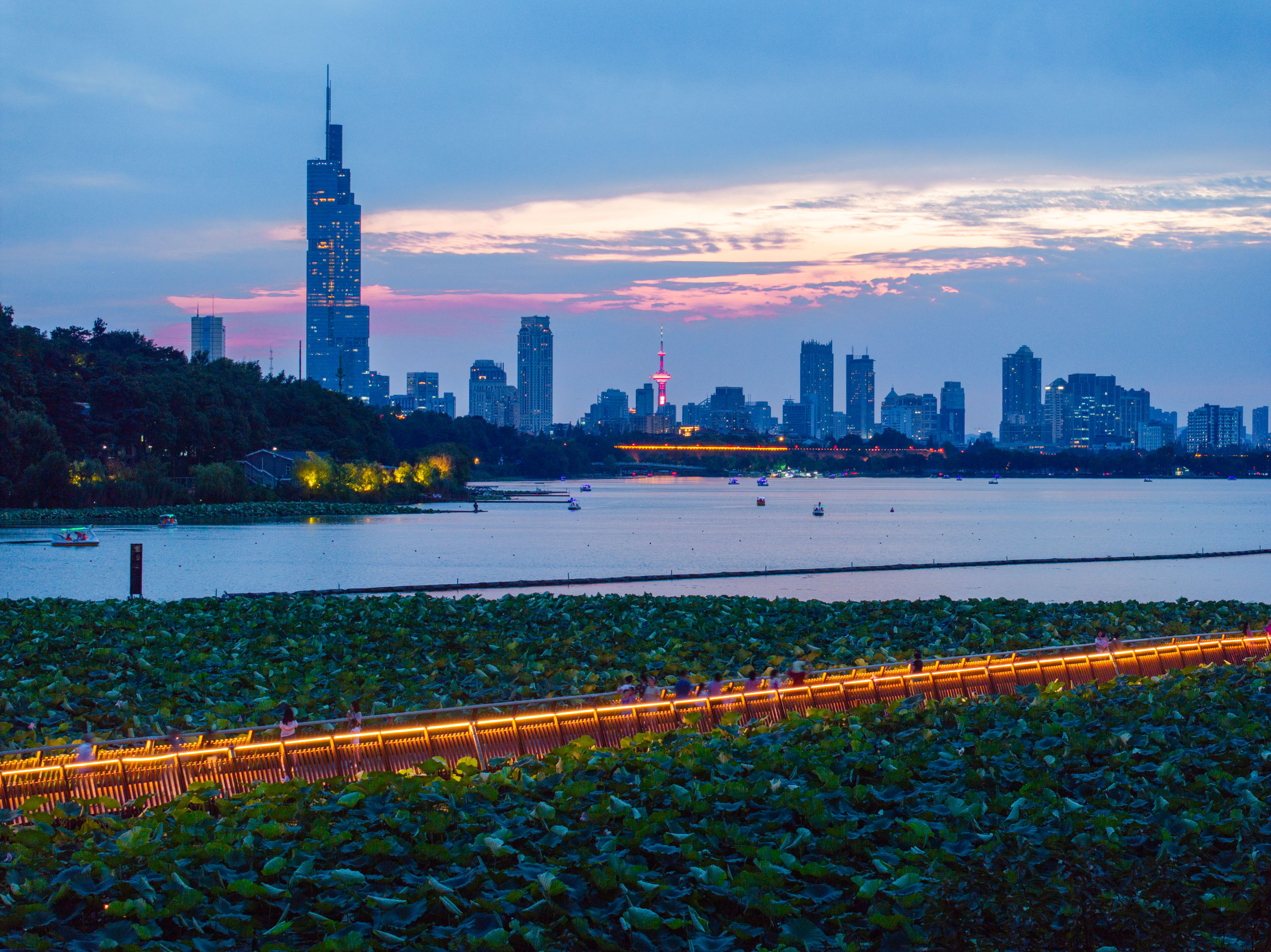 Zifeng Tower in Nanjing