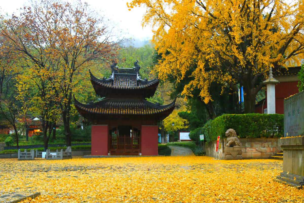 Autumn in Nanjing